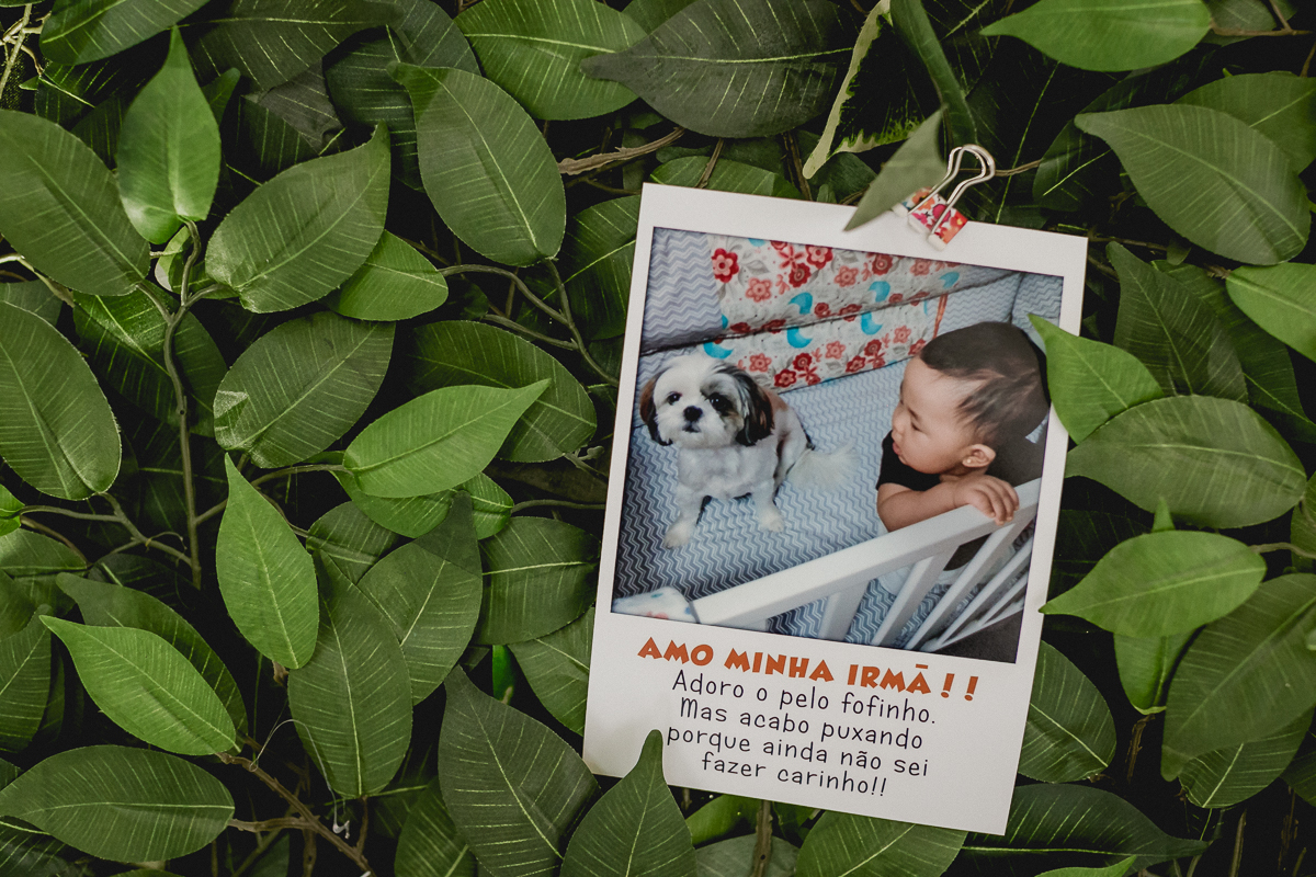 mural com fotos da emi