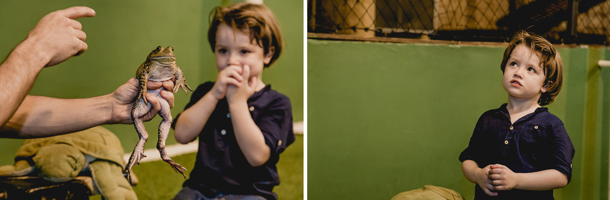 pedro observando a perereca