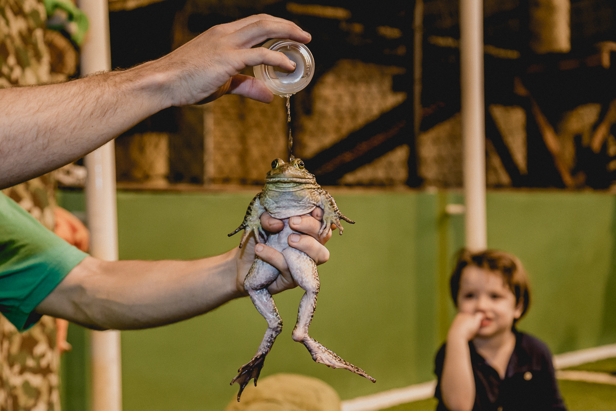 jogando agua na perereca e pedro observando