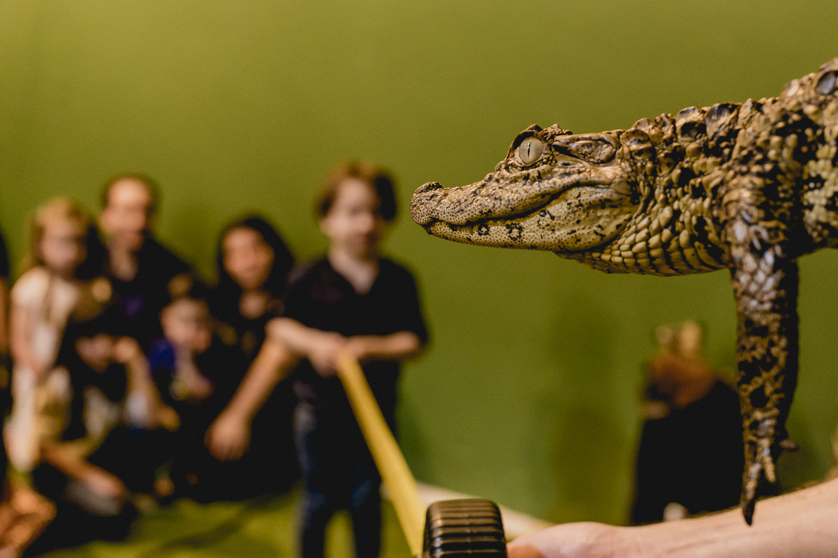 jacare e pedro segurando a fita para medir o tamanho