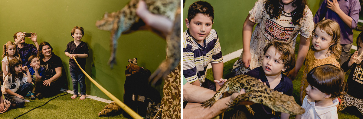 fazendo carinhos no jacaré