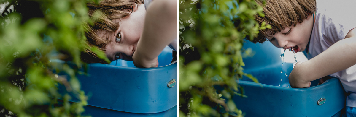 bebendo agua no bebedouro