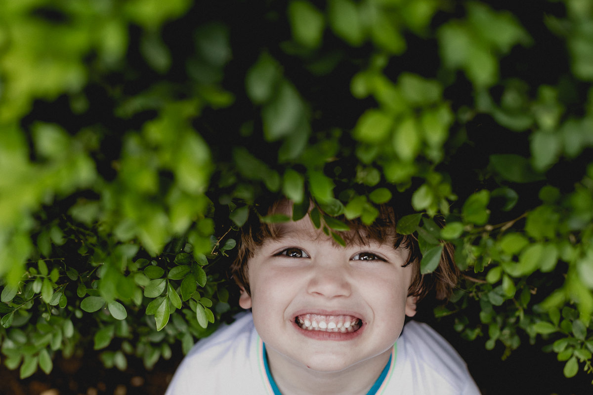 colocando a cabeça nas plantinhas