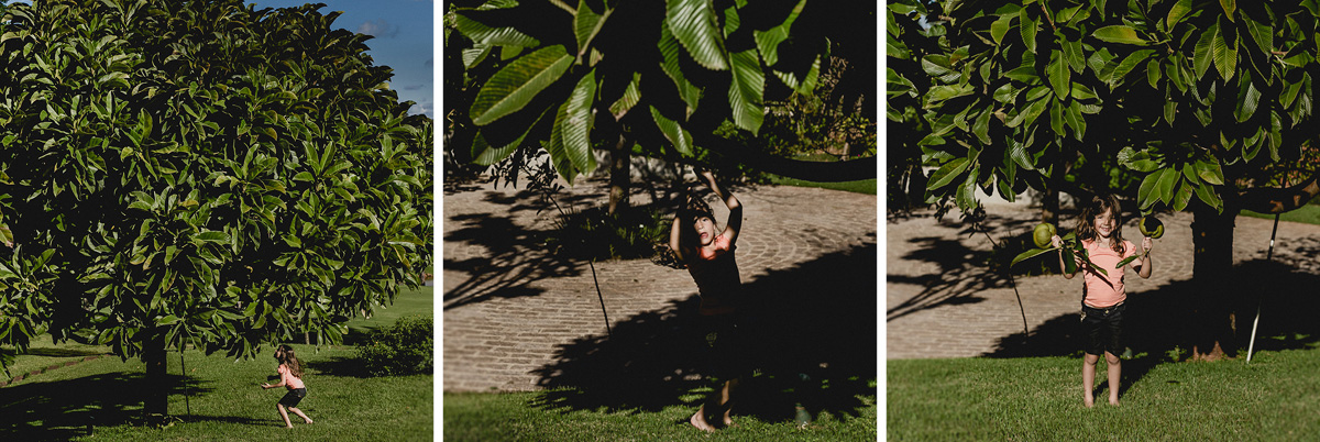 criança pegando frutas no pé