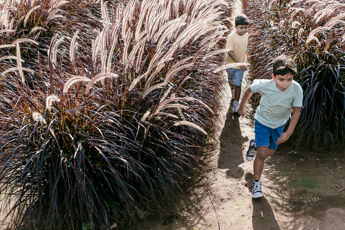 Bernardo e Francisco correndo no campo de lavanda no Bloemen park em Holambra SP