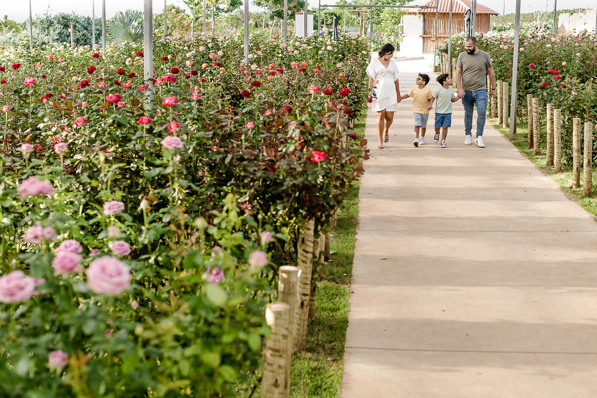 Ensaio família realizado no bloemen park em holambra sp