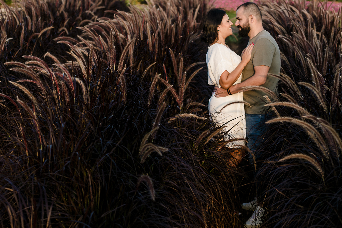 Ensaio família realizado no bloemen park em holambra sp