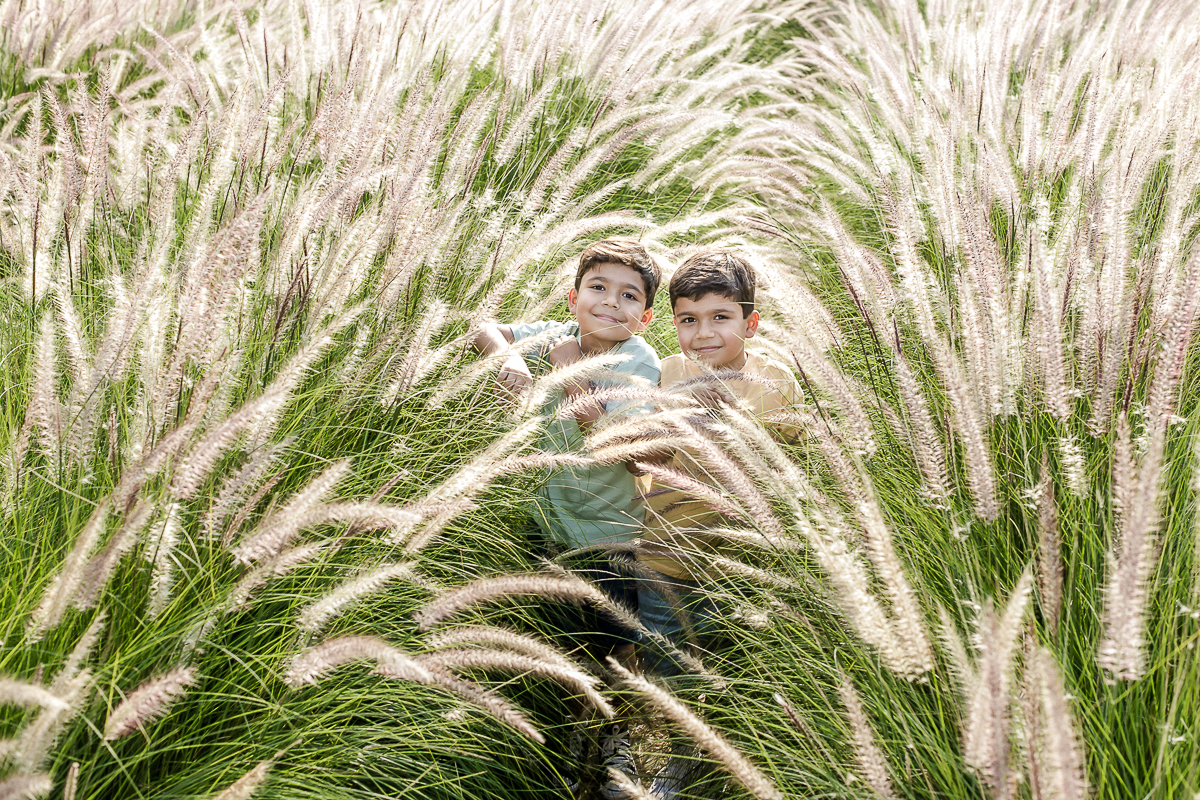 Ensaio família realizado no bloemen park em holambra sp