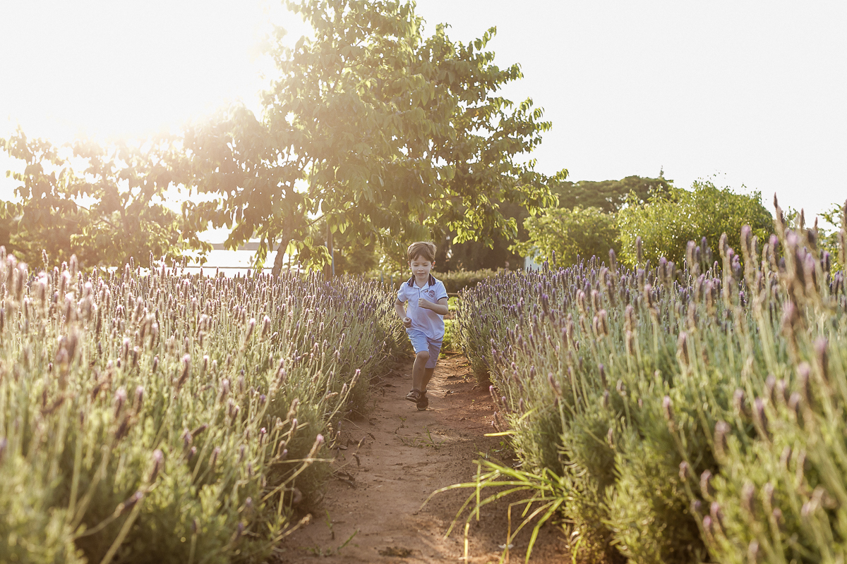 Ensaio família no Bloemen Park em Holambra SP