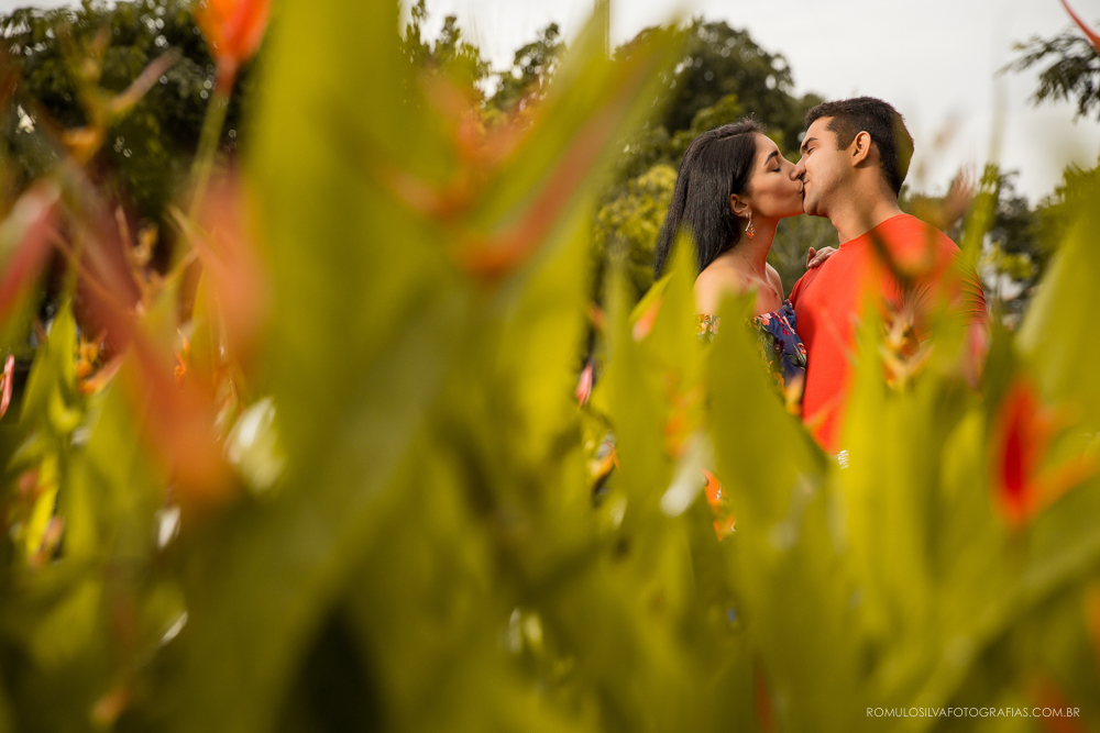 ensaio  pré casamento Anthony e Aline com fotos românticas em uma composição usando elementos da natureza