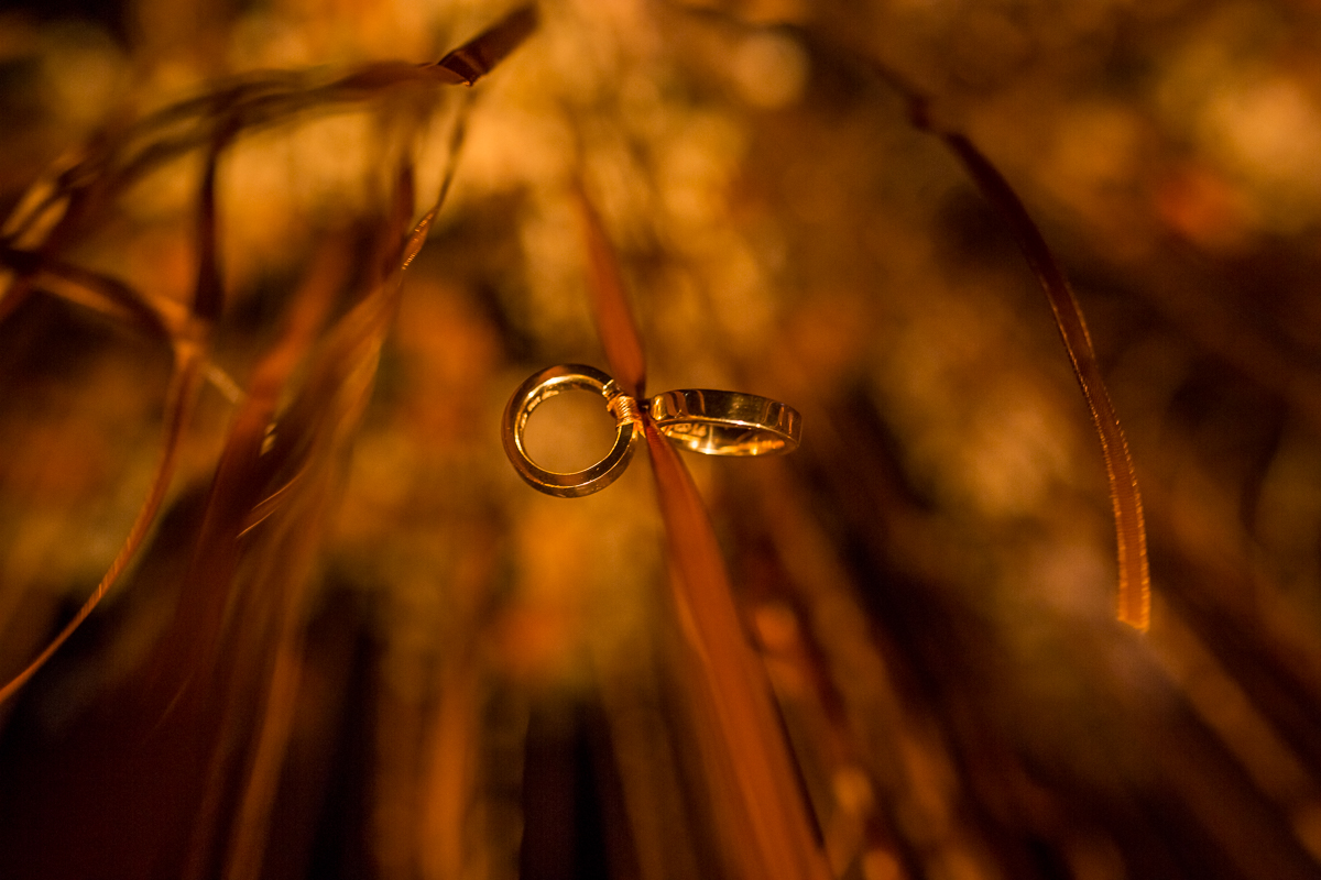 casamento na praia, decoracao de casamento, casamento de dia, fotografo de casamento belem, fotógrafo de casamento pa, casamento, fotografia de casamento pa, fotografia de casamento belem, fotografia de casamento belem pa, fotógrafo de casam