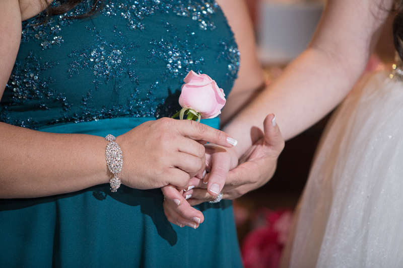 fotos da festa da Karolina 15 anos, com uma linda decoração rosa e rústica