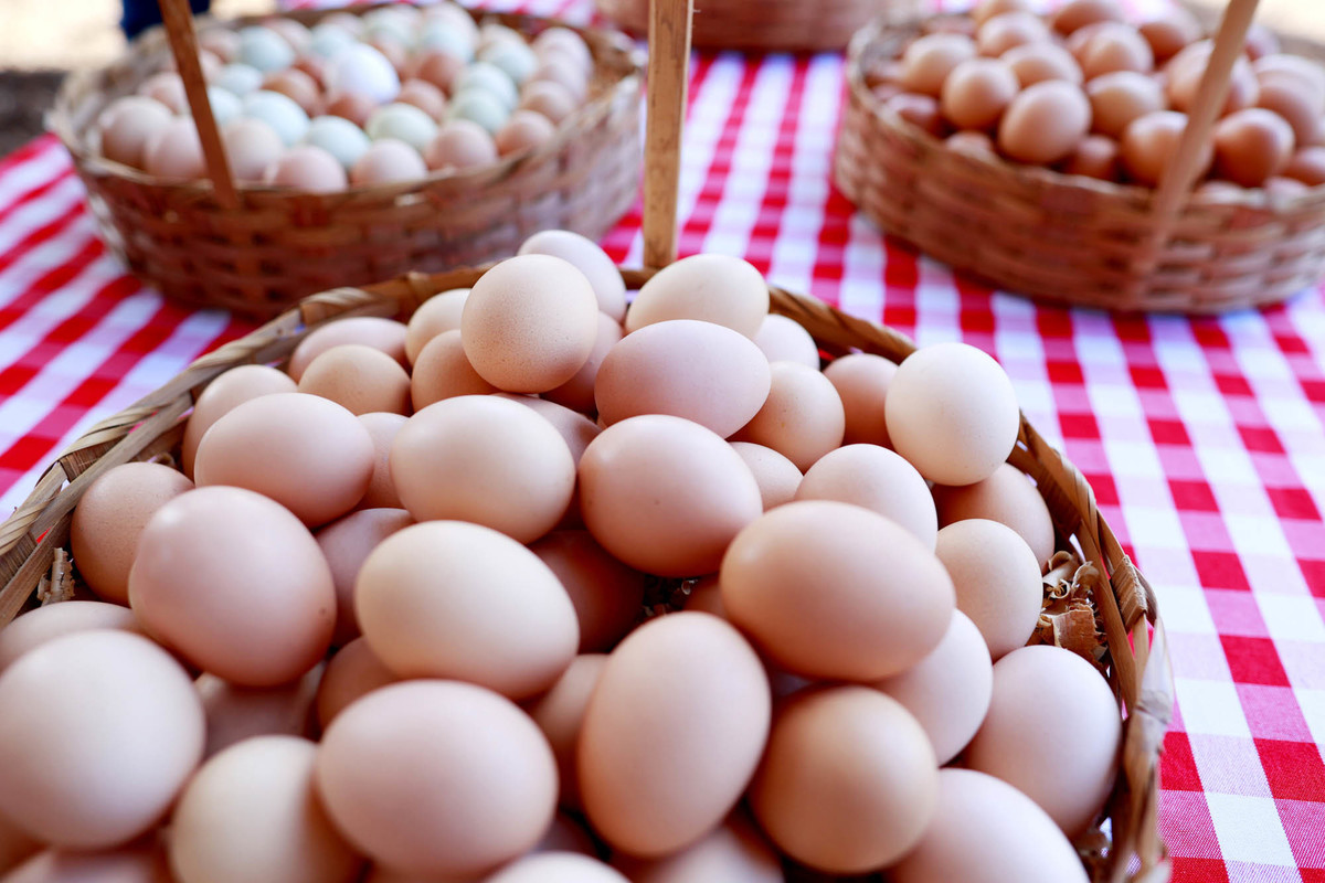 Ovos e produtos da produção agropecuária apresentados na AgroBrasília 2026