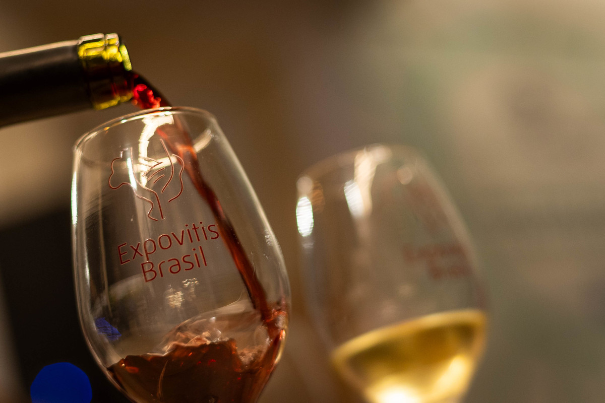 Taças de vinho durante degustação na Expovitis Brasil 2026, feira que reúne vinícolas, produtores e apreciadores do vinho brasileiro. Foto: Wenderson Araujo/Trilux
