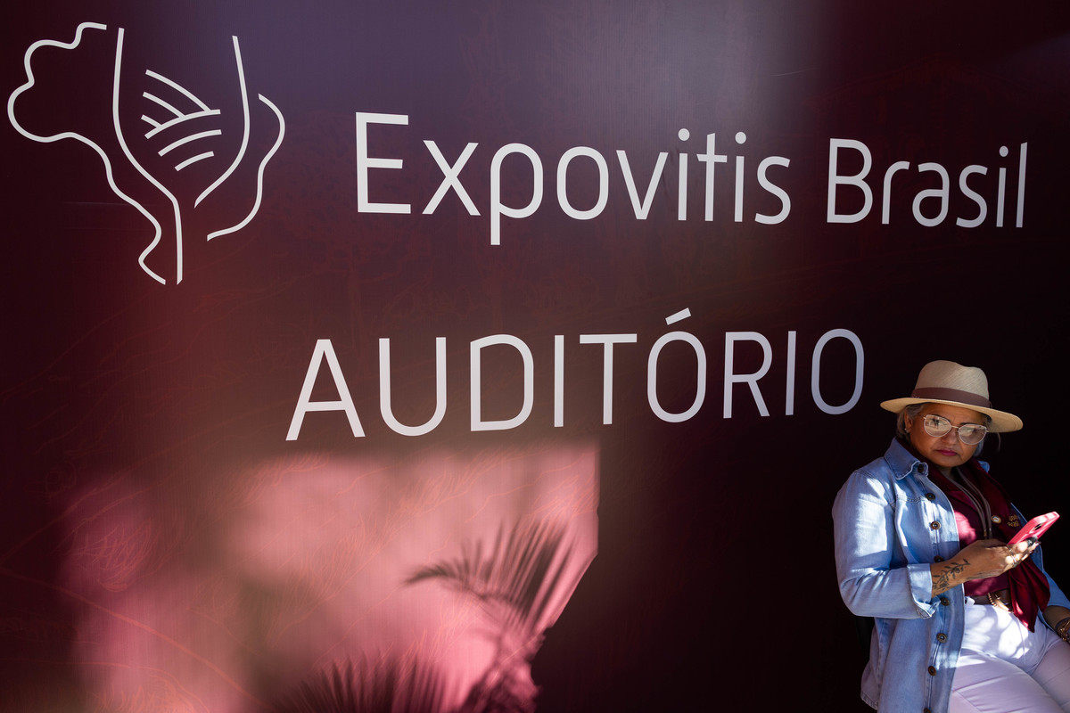 Auditório da Expovitis Brasil 2026 recebe palestras, painéis e debates sobre vitivinicultura, enologia, enoturismo e mercado do vinho. Foto: Wenderson Araujo/Trilux
