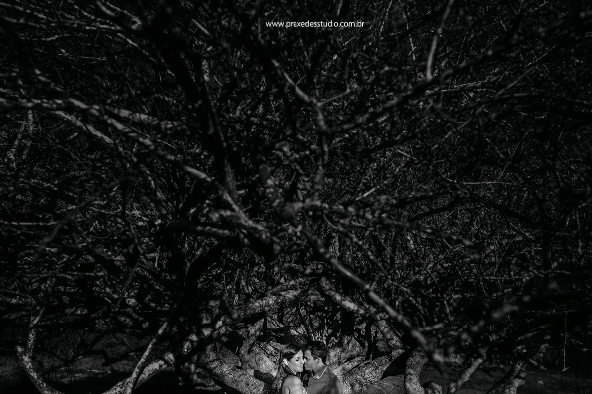 Em meio aos galhos secos a vida do nosso amor persevera.