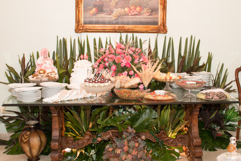 Su Sodré Fotografia-Festa da D.Verônica