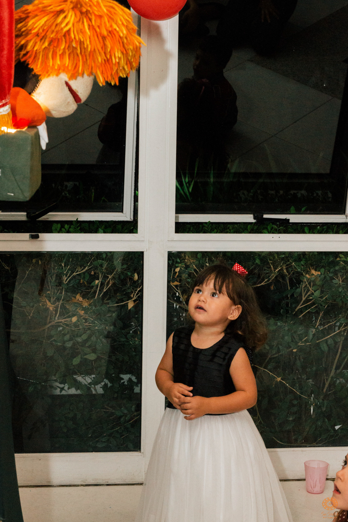 Su Sodré Fotografia-Festa Infantil-Betina