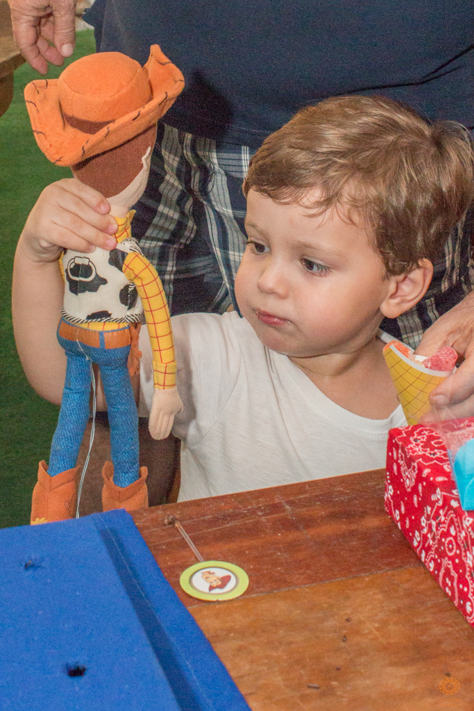 Su Sodré Fotografia-Festa de 3 anos do Henrique