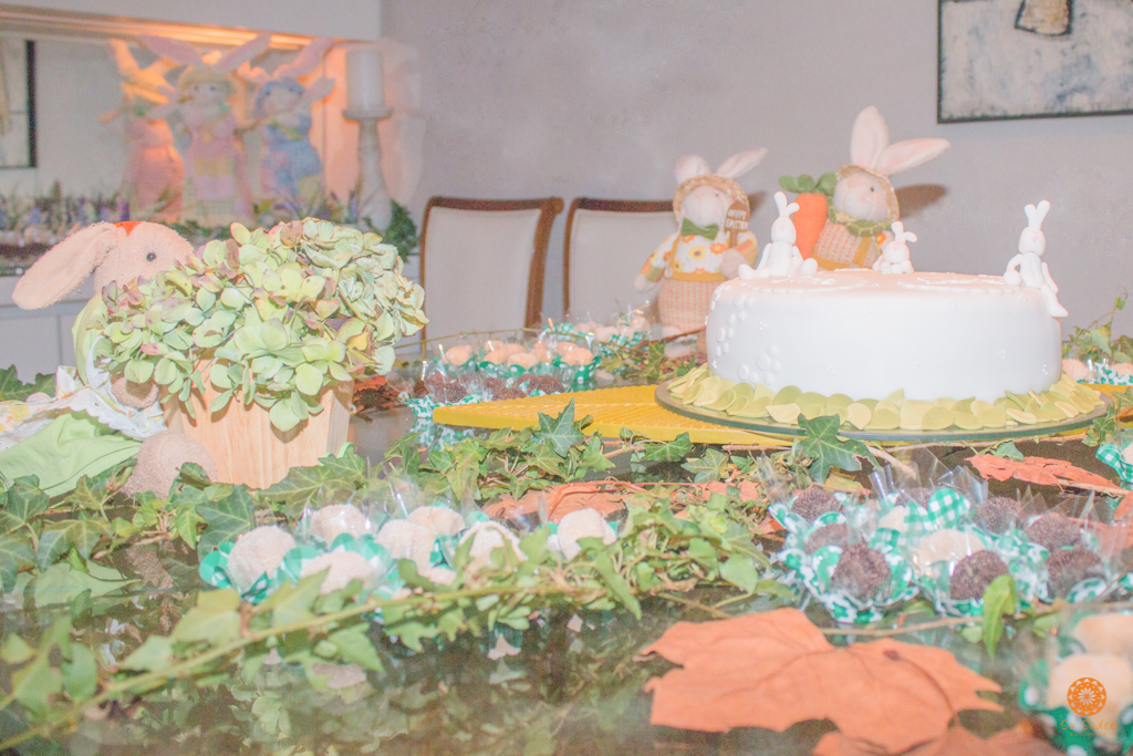 Su Sodré Fotografia-Chá de Bebê-Nina e Laura