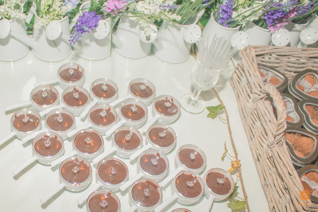 Su Sodré Fotografia-Chá de Bebê-Nina e Laura