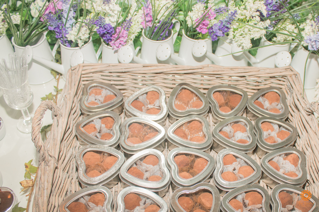 Su Sodré Fotografia-Chá de Bebê-Nina e Laura