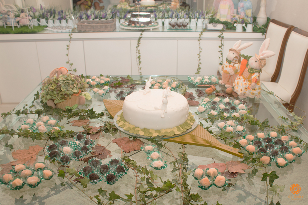 Su Sodré Fotografia-Chá de Bebê-Nina e Laura