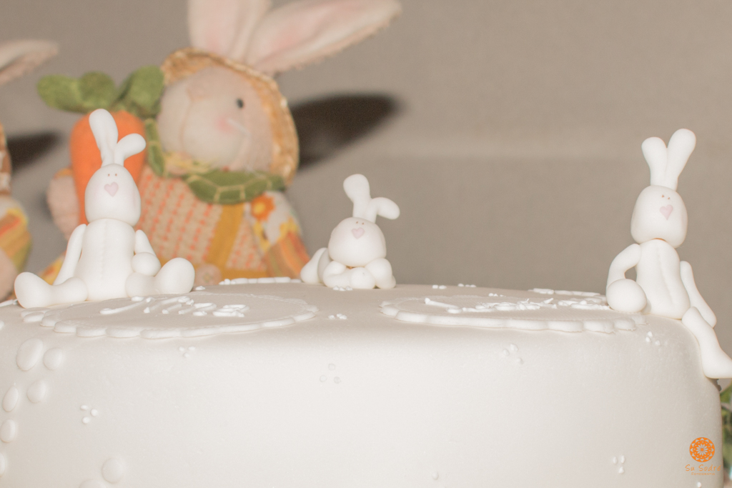 Su Sodré Fotografia-Chá de Bebê-Nina e Laura