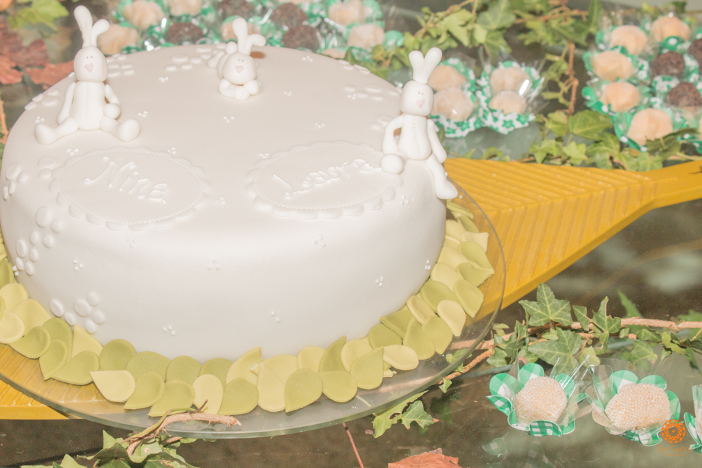 Su Sodré Fotografia-Chá de Bebê-Nina e Laura