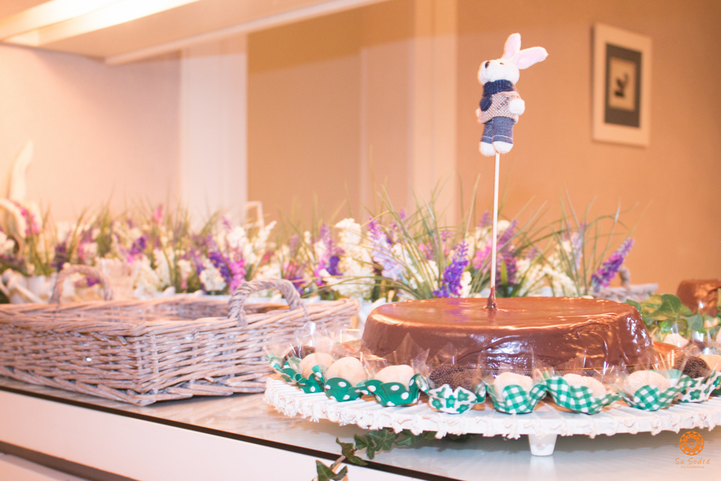 Su Sodré Fotografia-Chá de Bebê-Nina e Laura