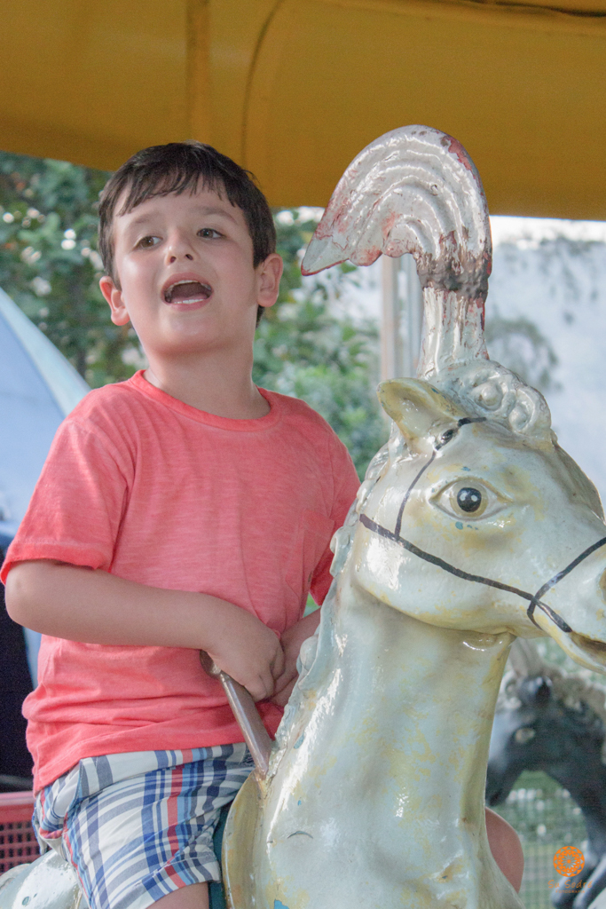 Su Sodré Fotografia-Festa Infantil tema Homem Aranha-Pedro 6 anos