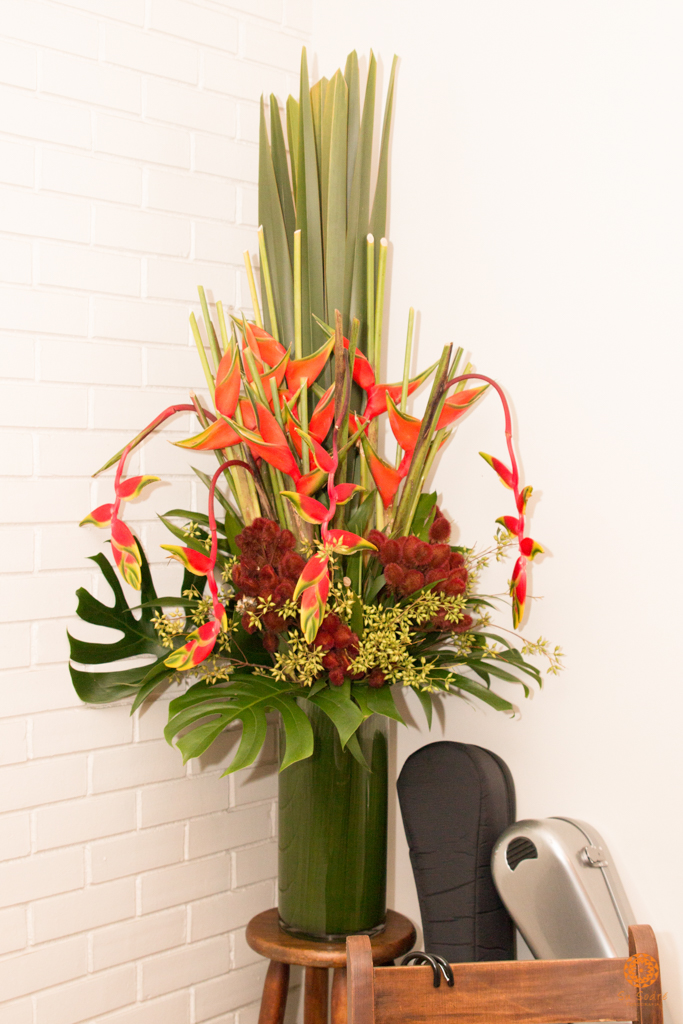 Su Sodré Fotografia-Duo Assad