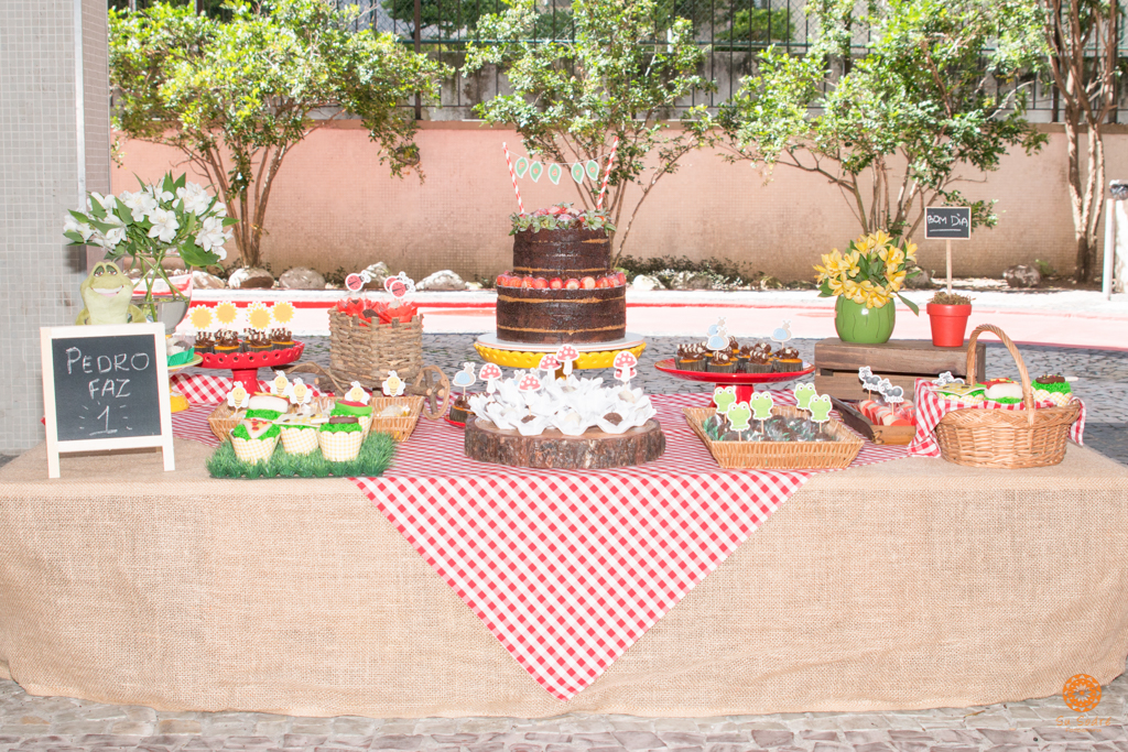 Su Sodré Fotografia-1 ano do Pedro