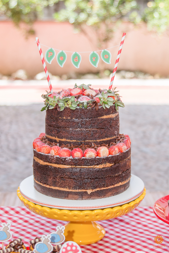 Su Sodré Fotografia-1 ano do Pedro