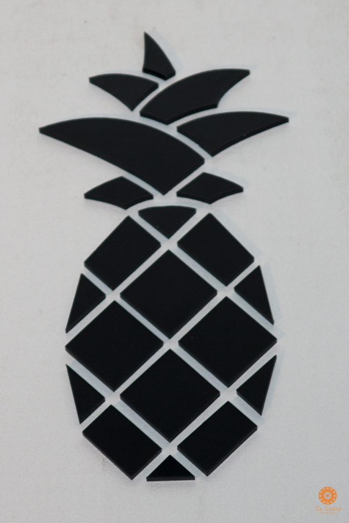 Lançamento de coleção da Pineapple,Eventos Corporativos,Su Sodré Fotografia