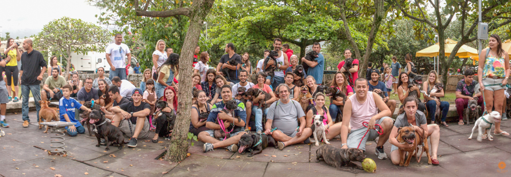 Encontro da Raça Starfordshire Bul Terrier,Su Sodré Fotografia