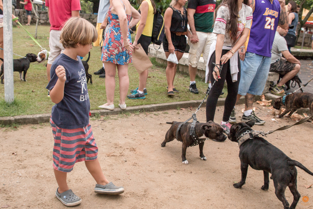 Encontro da Raça Starfordshire Bul Terrier,Su Sodré Fotografia