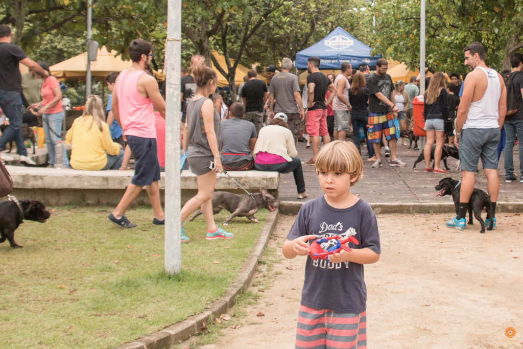 Encontro da Raça Starfordshire Bul Terrier,Su Sodré Fotografia