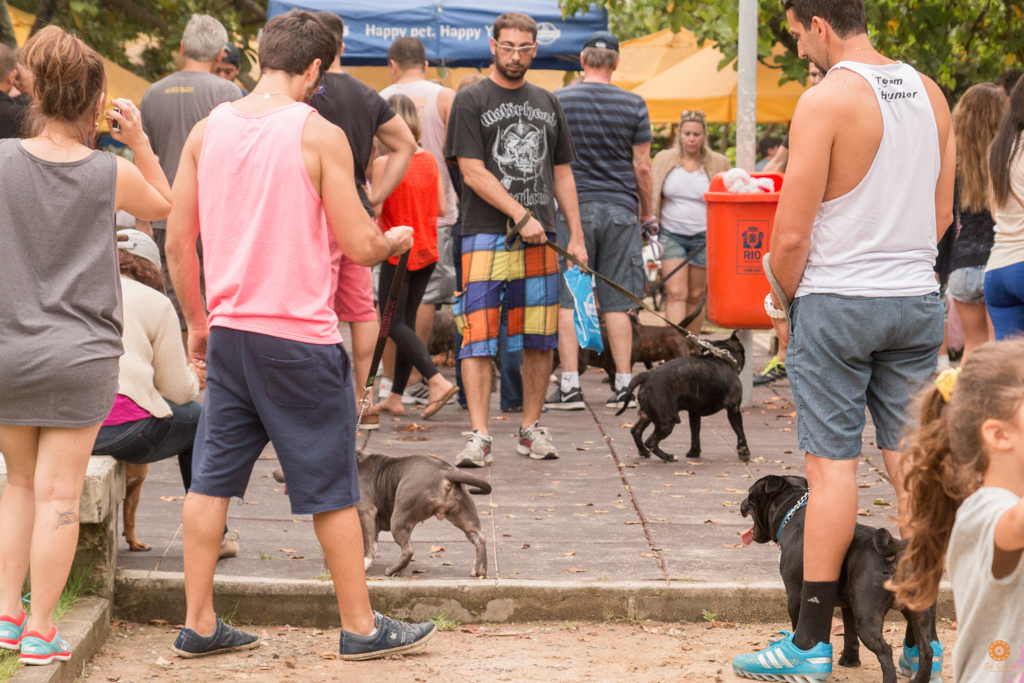 Encontro da Raça Starfordshire Bul Terrier,Su Sodré Fotografia