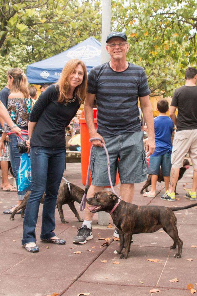 Encontro da Raça Starfordshire Bul Terrier,Su Sodré Fotografia
