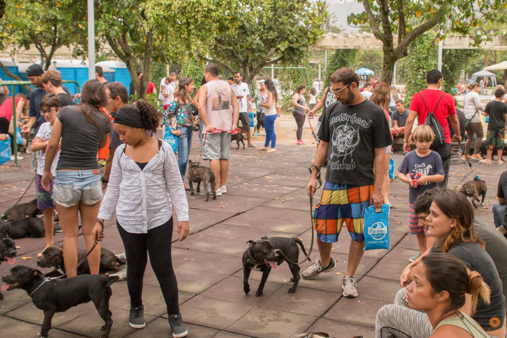 Encontro da Raça Starfordshire Bul Terrier,Su Sodré Fotografia