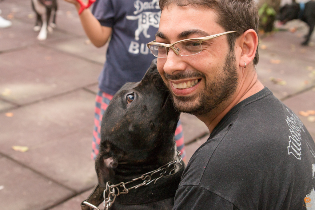 Encontro da Raça Starfordshire Bul Terrier,Su Sodré Fotografia