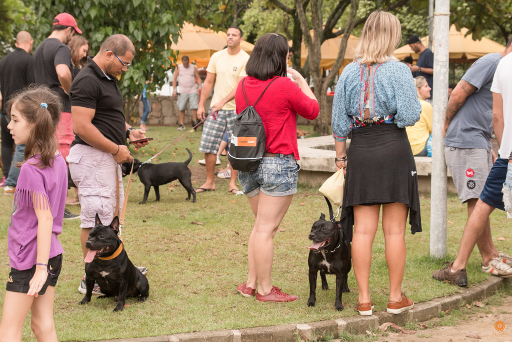 Encontro da Raça Starfordshire Bul Terrier,Su Sodré Fotografia