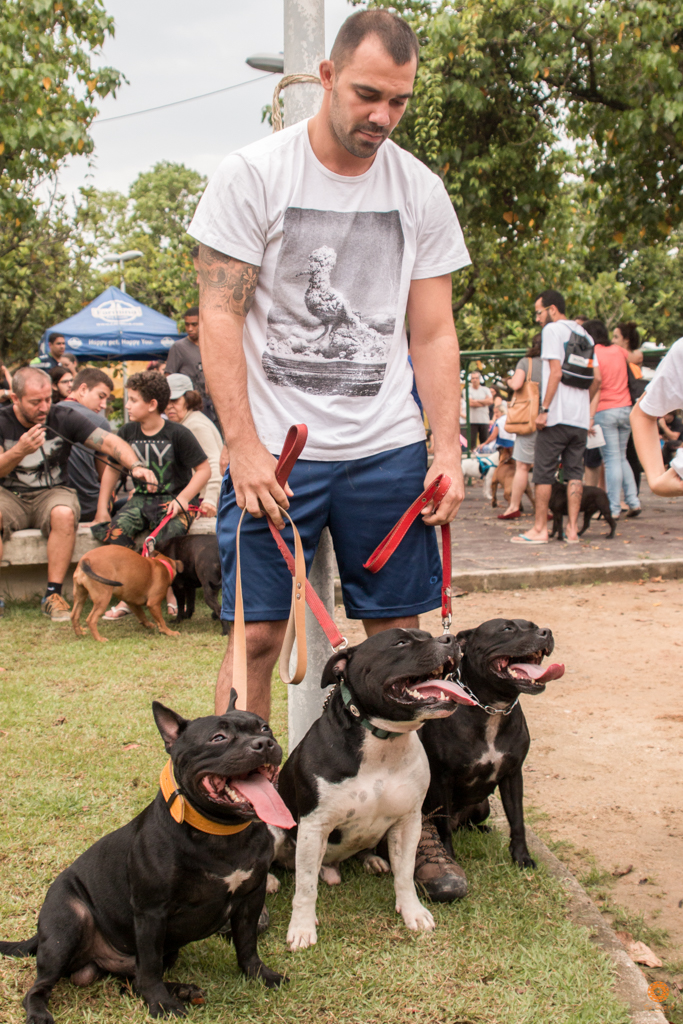 Encontro da Raça Starfordshire Bul Terrier,Su Sodré Fotografia