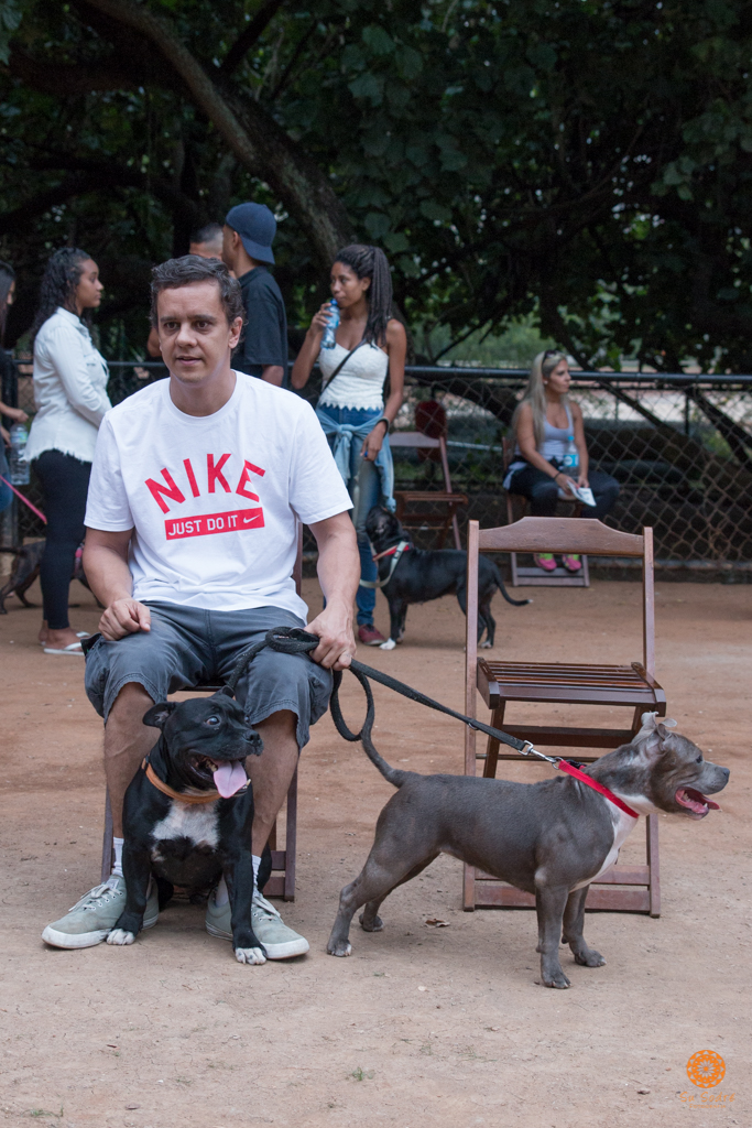 16° Encontro da Raça Starfordshire Bull Terrier,Su Sodré Fotografia