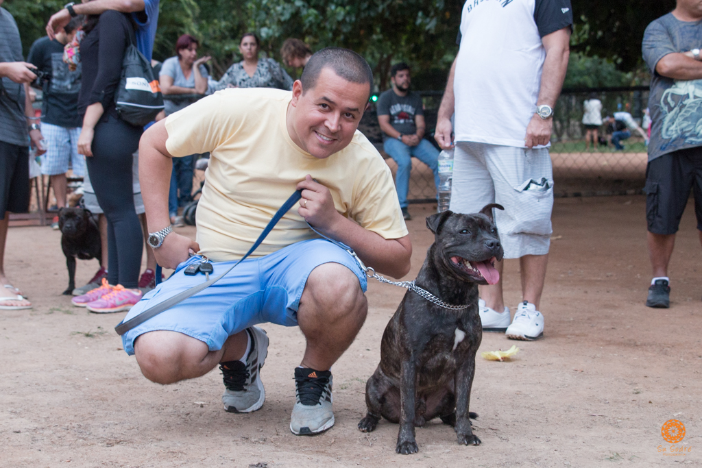 16° Encontro da Raça Starfordshire Bull Terrier,Su Sodré Fotografia