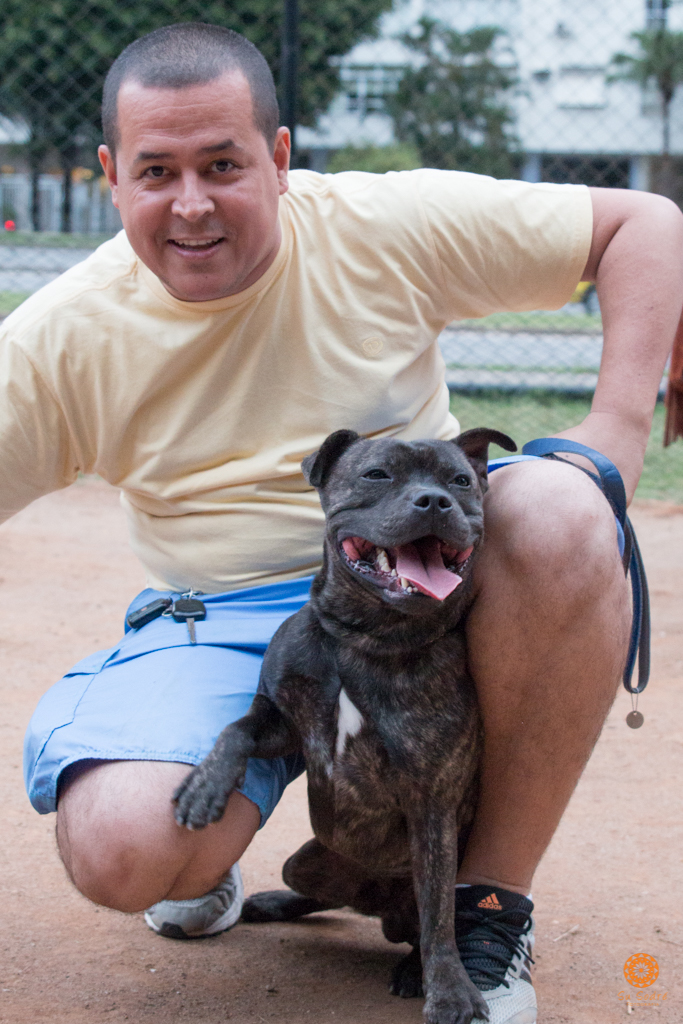 16° Encontro da Raça Starfordshire Bull Terrier,Su Sodré Fotografia