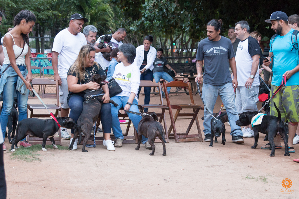 16° Encontro da Raça Starfordshire Bull Terrier,Su Sodré Fotografia