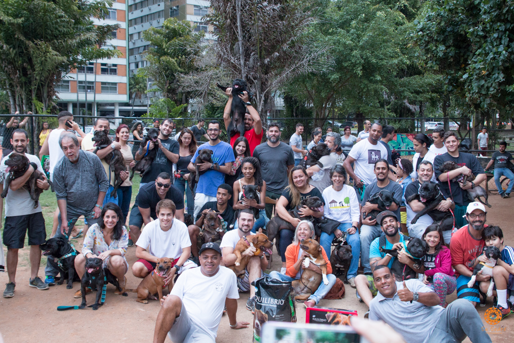 16° Encontro da Raça Starfordshire Bull Terrier,Su Sodré Fotografia