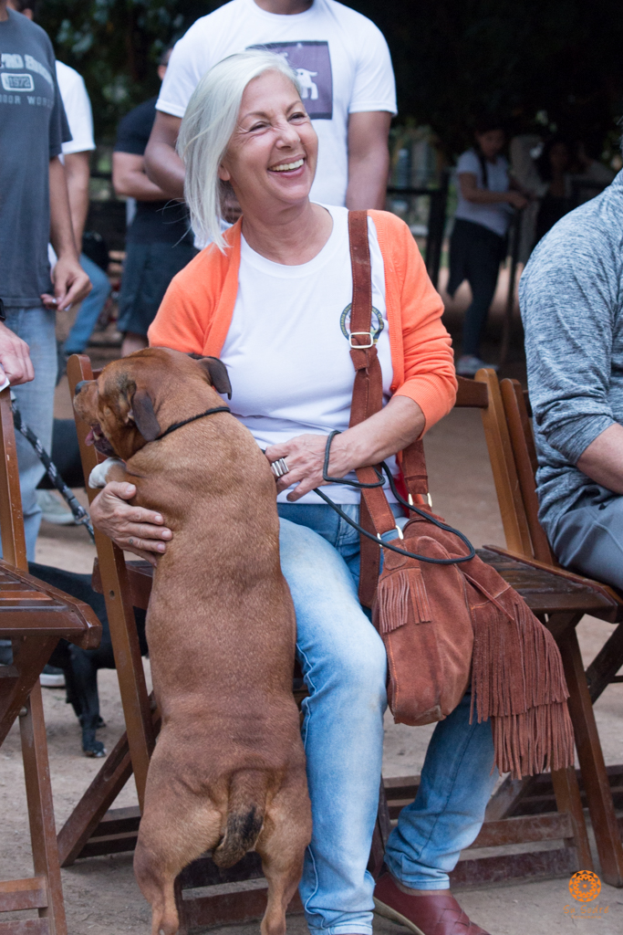 16° Encontro da Raça Starfordshire Bull Terrier,Su Sodré Fotografia